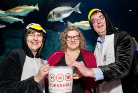 Redman Butler team, 2 of the 3 people are dressed up as penguins. The other is holding a collection bucket.